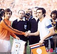 历次特赦名单17批